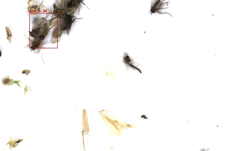 Image 8